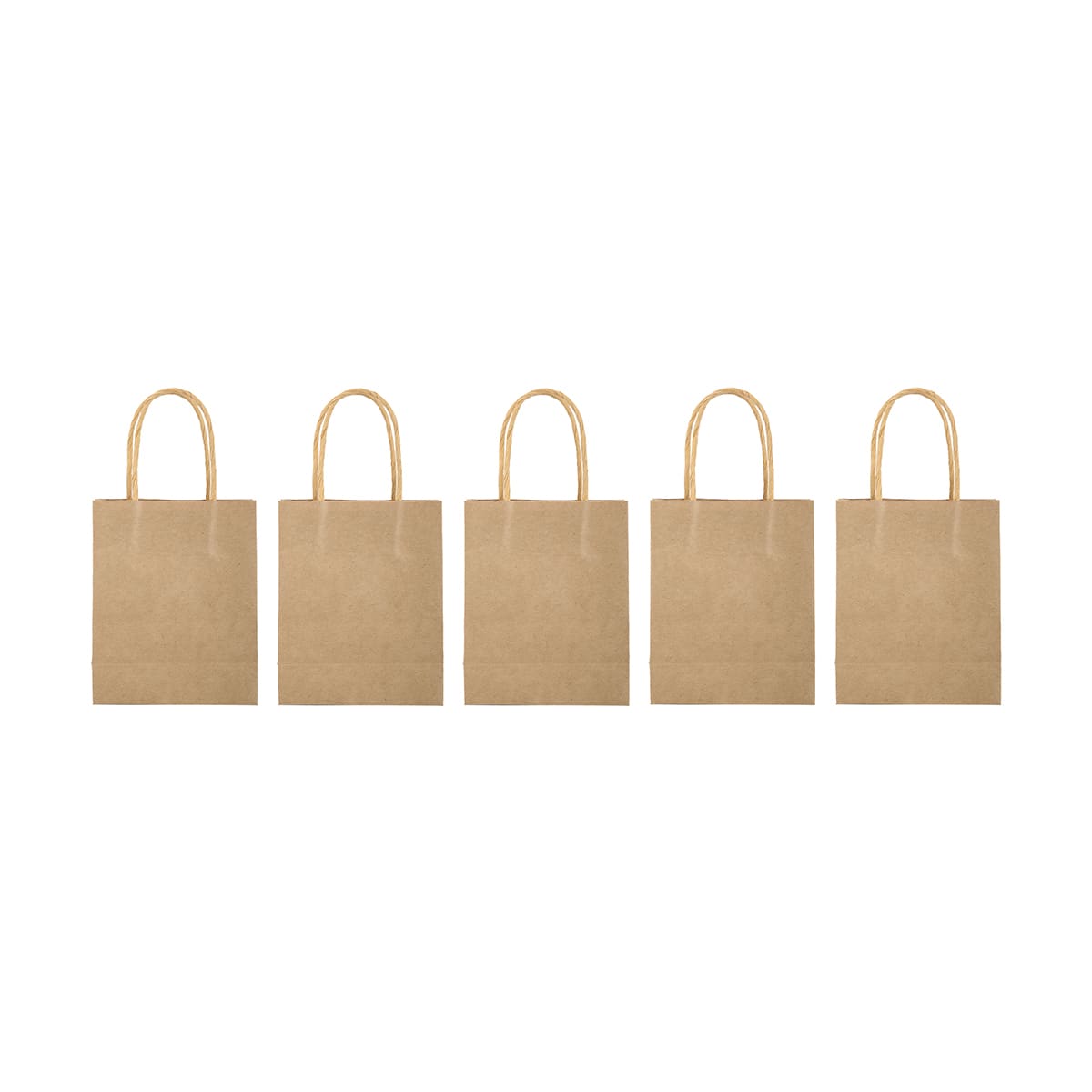 5 Pack Kraft Gift Bags
