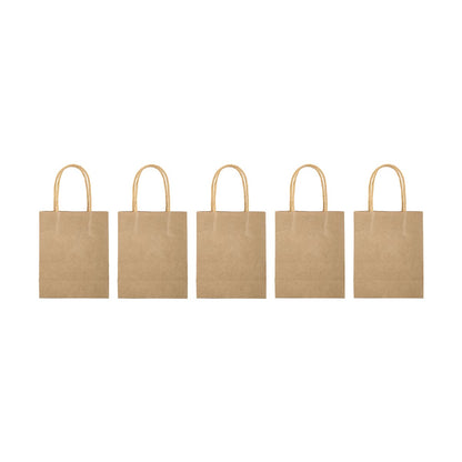 5 Pack Kraft Gift Bags