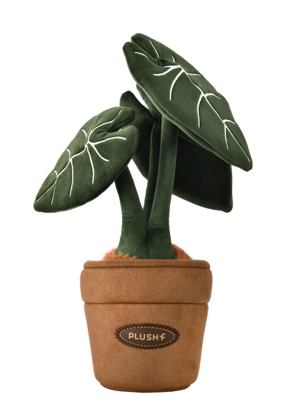 PlushWoods Alocasia Frydek Plant Plush With Pot 25cm