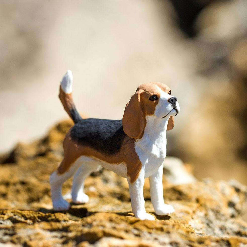 Beagle Dog Figurine by Safari Ltd Farm Collection Animal Figurines 3yrs+