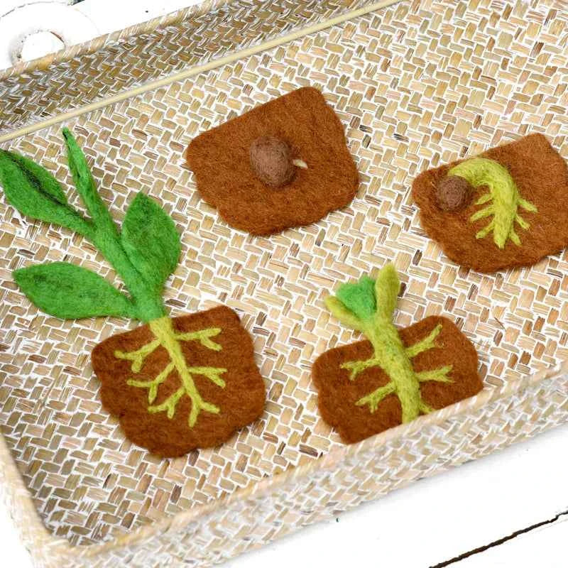 Tara Treasures Felt Lifecycle of Bean Plant Pretend & Imaginative Play Toys 3yrs+