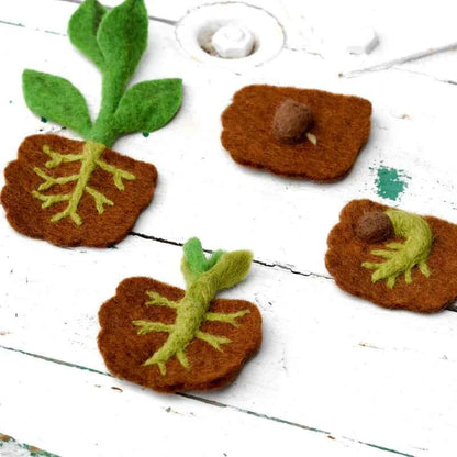 Tara Treasures Felt Lifecycle of Bean Plant Pretend & Imaginative Play Toys 3yrs+