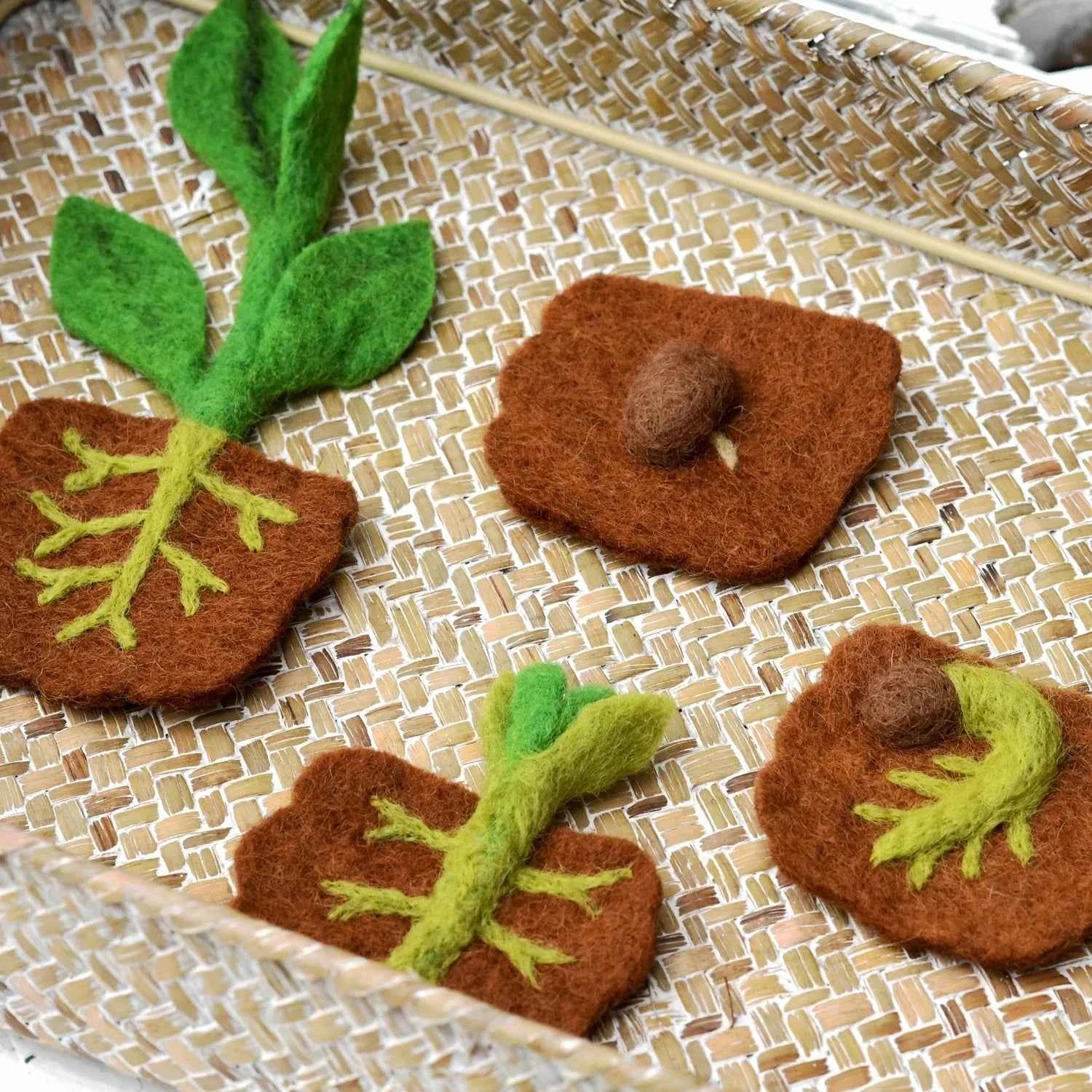 Tara Treasures Felt Lifecycle of Bean Plant Pretend & Imaginative Play Toys 3yrs+