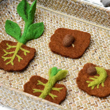 Tara Treasures Felt Lifecycle of Bean Plant Pretend & Imaginative Play Toys 3yrs+