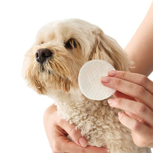 100 Pack Pet Ear & Eye Wipes