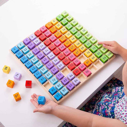 BigJigs Number Tray 1-100 Early Math STEM Cognitive Developmental Toys for Toddlers Best Seller 3yrs+