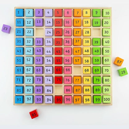 BigJigs Number Tray 1-100 Early Math STEM Cognitive Developmental Toys for Toddlers 3yrs+