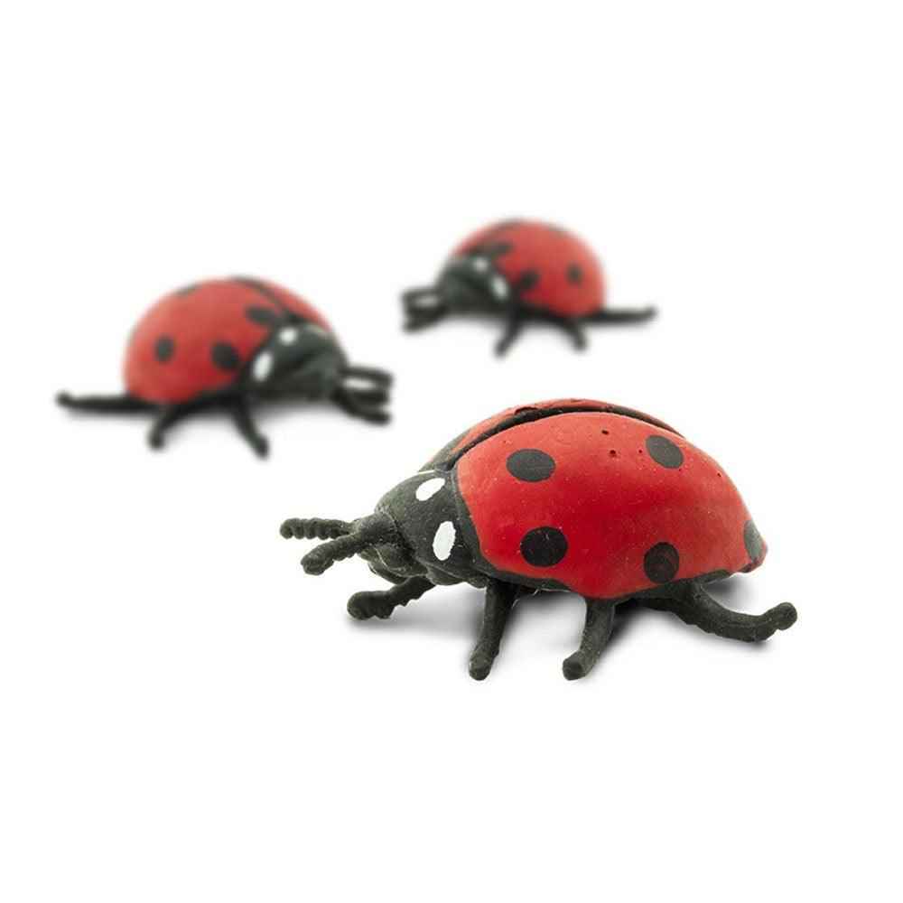Counting Ladybugs 10 Piece by Safari Ltd Early Math Bug STEM Toys Math Games for Kids 3yrs+
