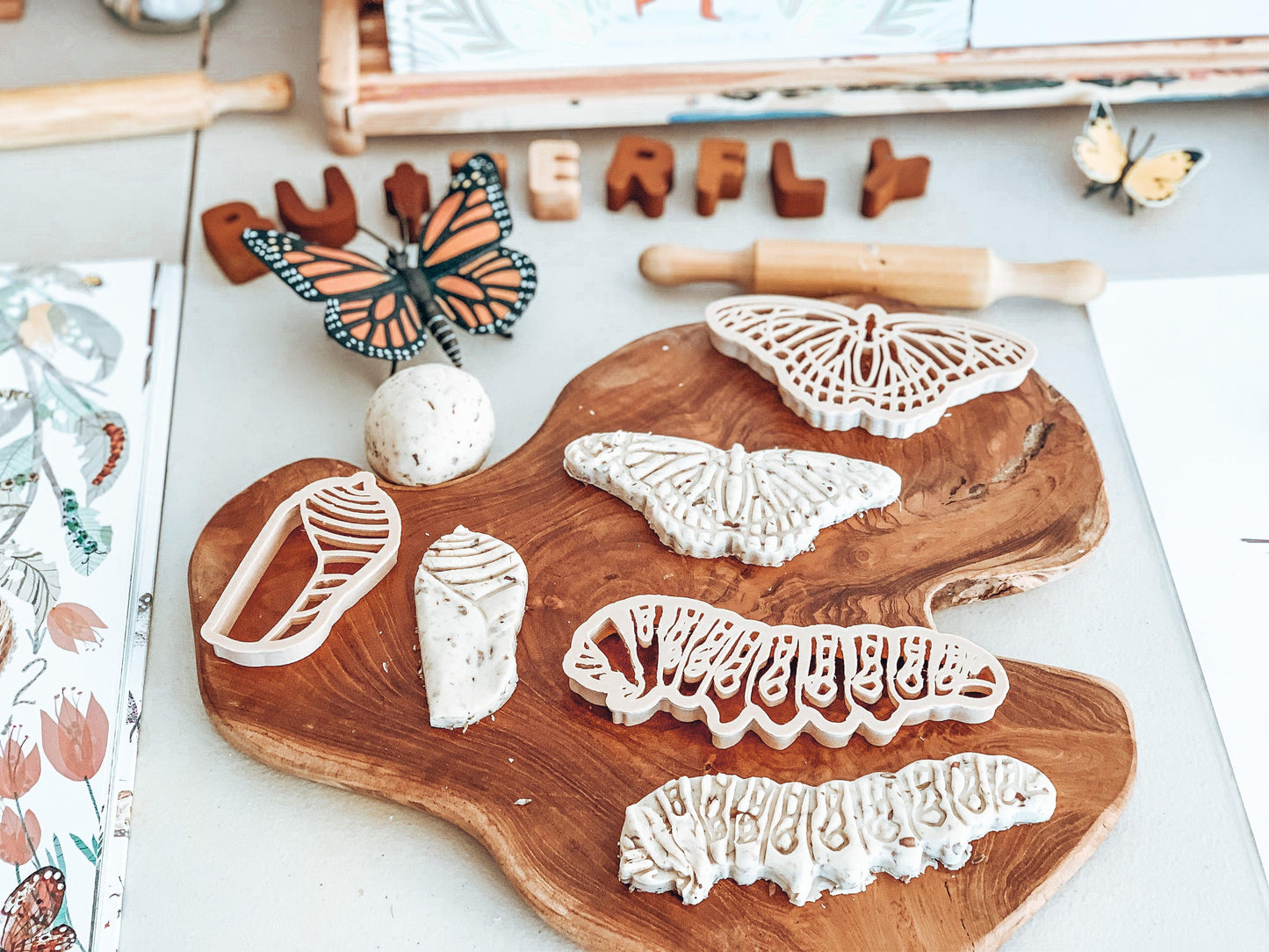 Kinfolk Pantry Life Cycle of a Butterfly Monarch Eco Cutter Set Playdough Toys Art and craft for kids 3yrs+