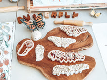 Kinfolk Pantry Life Cycle of a Butterfly Monarch Eco Cutter Set Playdough Toys Art and craft for kids 3yrs+