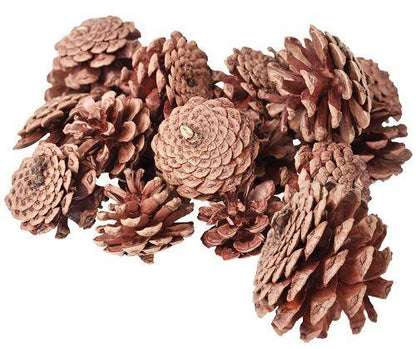 Small-Medium Pine Cones 200g