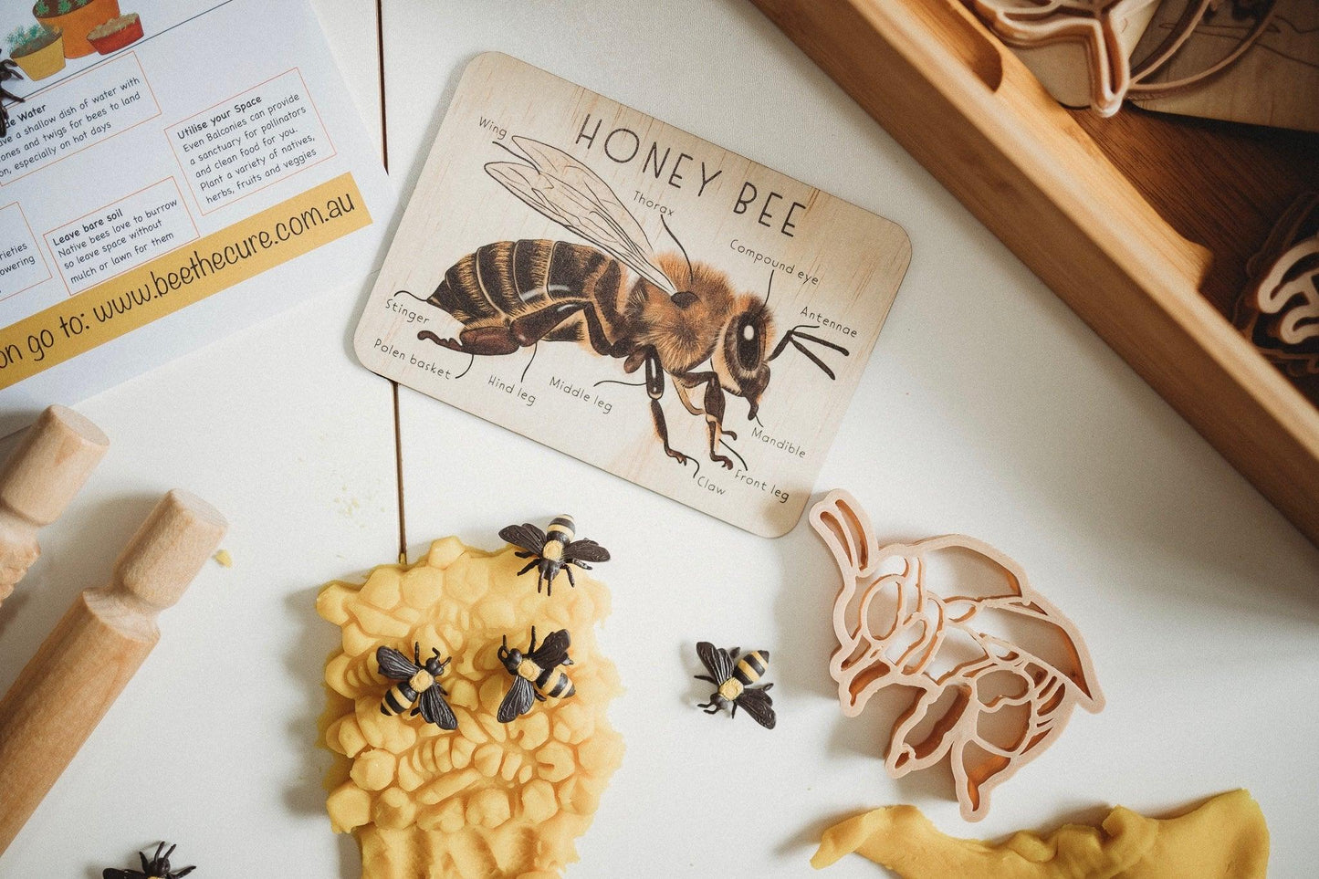 Kinfolk Pantry Teddy Bear Bee and Honey Comb Eco Cutter Set Playdough Toys Art and craft for kids Retired 3yrs+