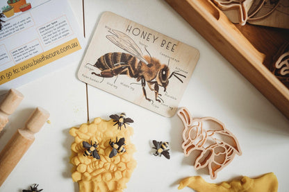 Kinfolk Pantry Teddy Bear Bee and Honey Comb Eco Cutter Set Playdough Toys Art and craft for kids Retired 3yrs+