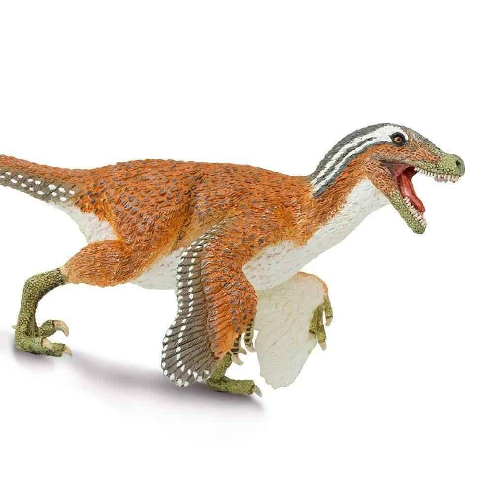 Feathered Velociraptor Figurine by Safari Ltd Large Dinosaur & Prehistoric World Collection Animal Figurines Dinosaur and Dragon Theme 3yrs+