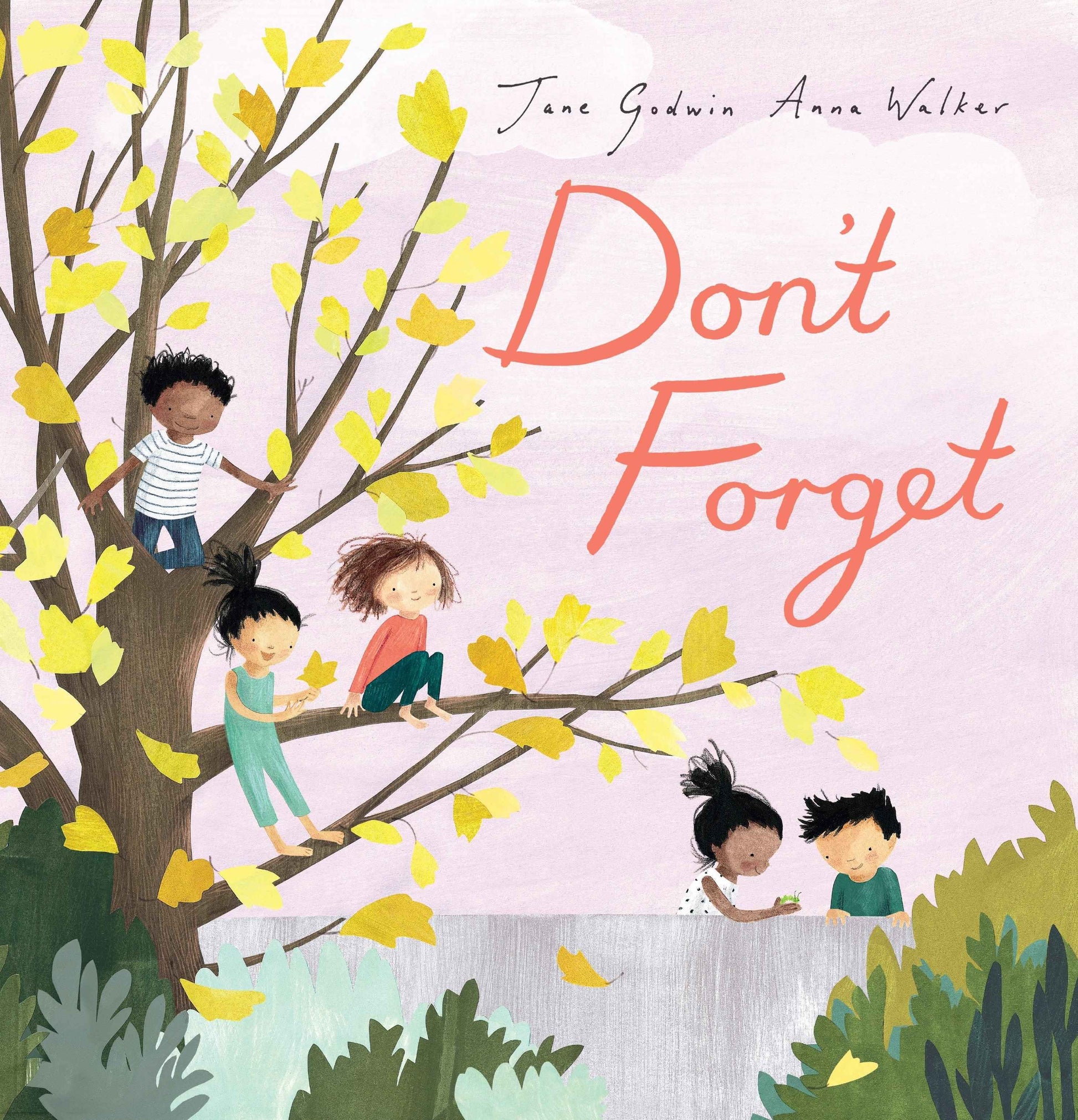 Don't Forget (Hardcover) by Anna Walker and Jane Godwin - Australian Author