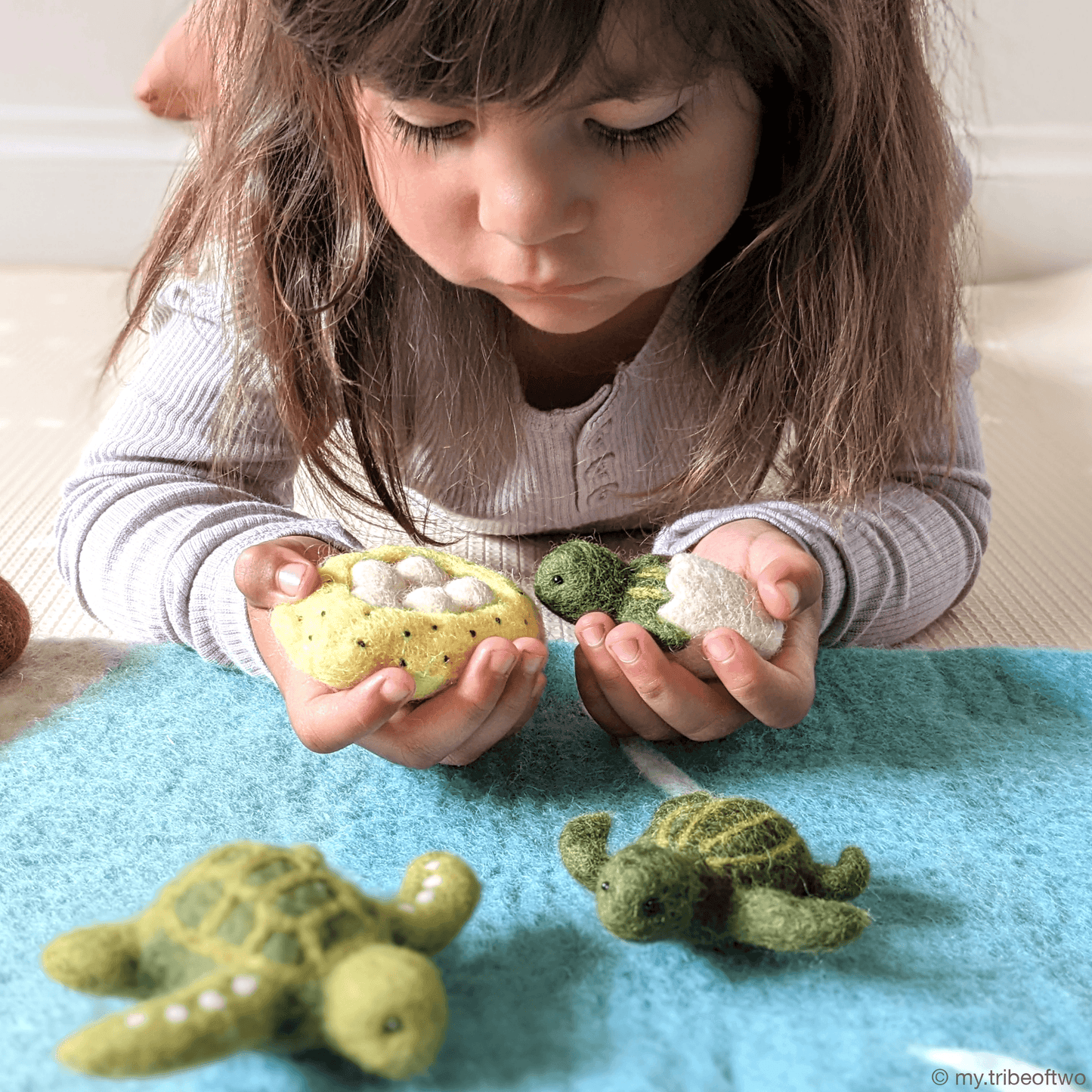 Tara Treasures Felt Life Cycle of Green Sea Turtle Set Pretend & Imaginative Play Toys Felt Animals 3yrs+
