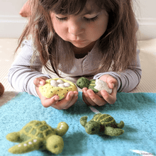 Tara Treasures Felt Life Cycle of Green Sea Turtle Set Pretend & Imaginative Play Toys Felt Animals 3yrs+
