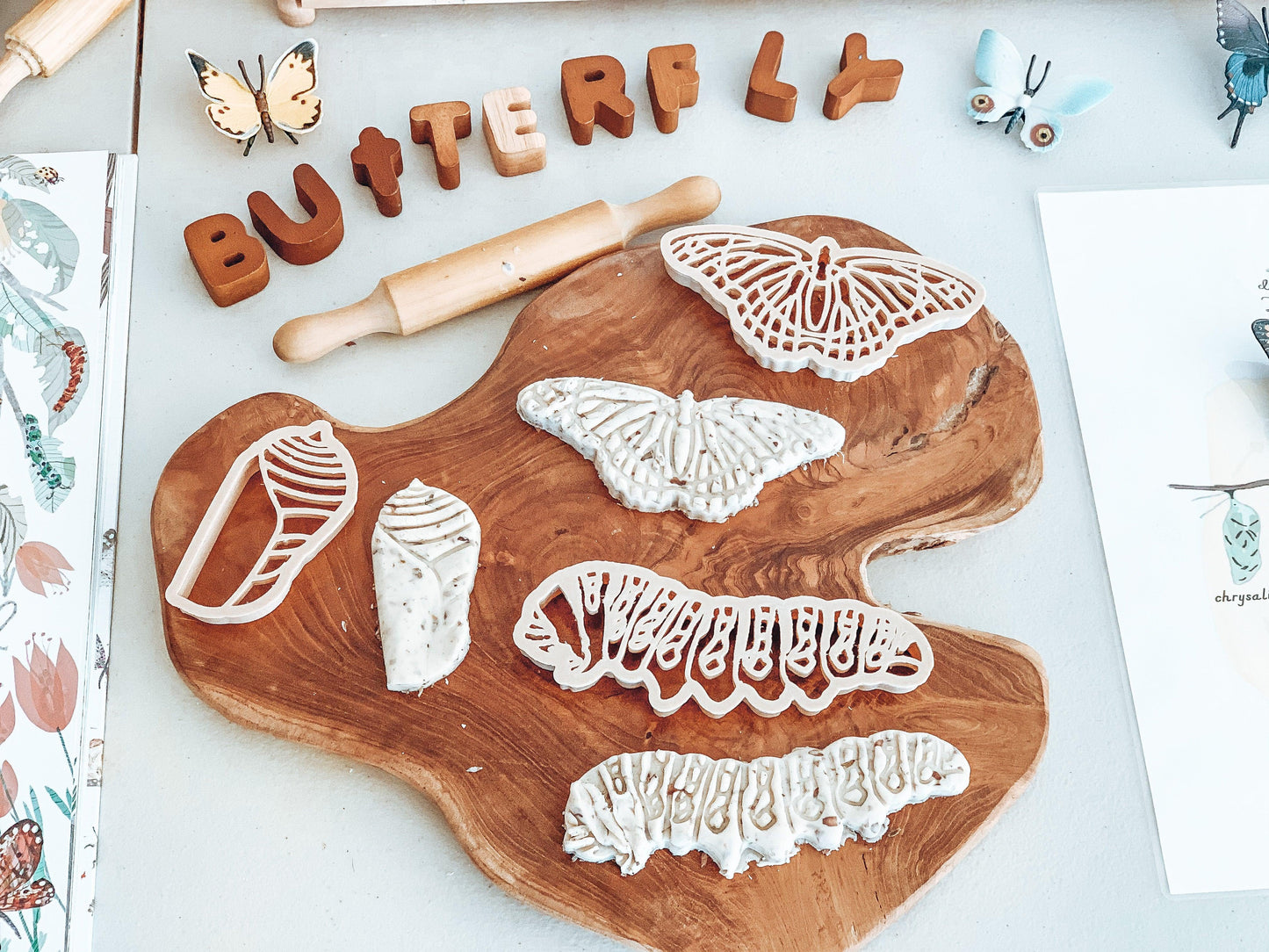 Kinfolk Pantry Life Cycle of a Butterfly Monarch Eco Cutter Set Playdough Toys Art and craft for kids 3yrs+