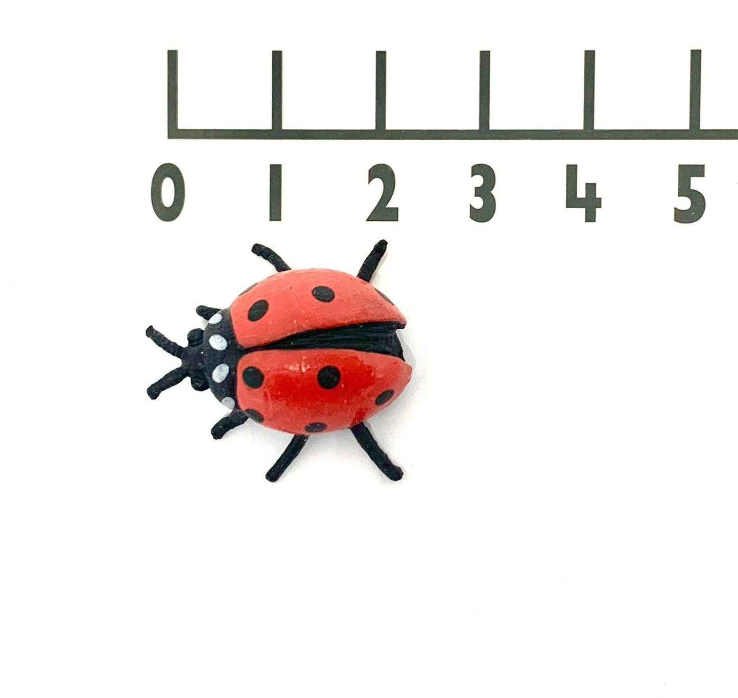 Counting Ladybugs 10 Piece by Safari Ltd Early Math Bug STEM Toys Math Games for Kids 3yrs+