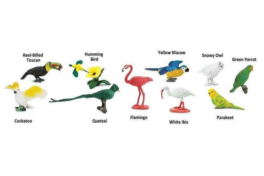 Tube of 11 Exotic Birds Montessori Language Learning Figurines by Safari Ltd Toob Range Discontinued 3yrs+
