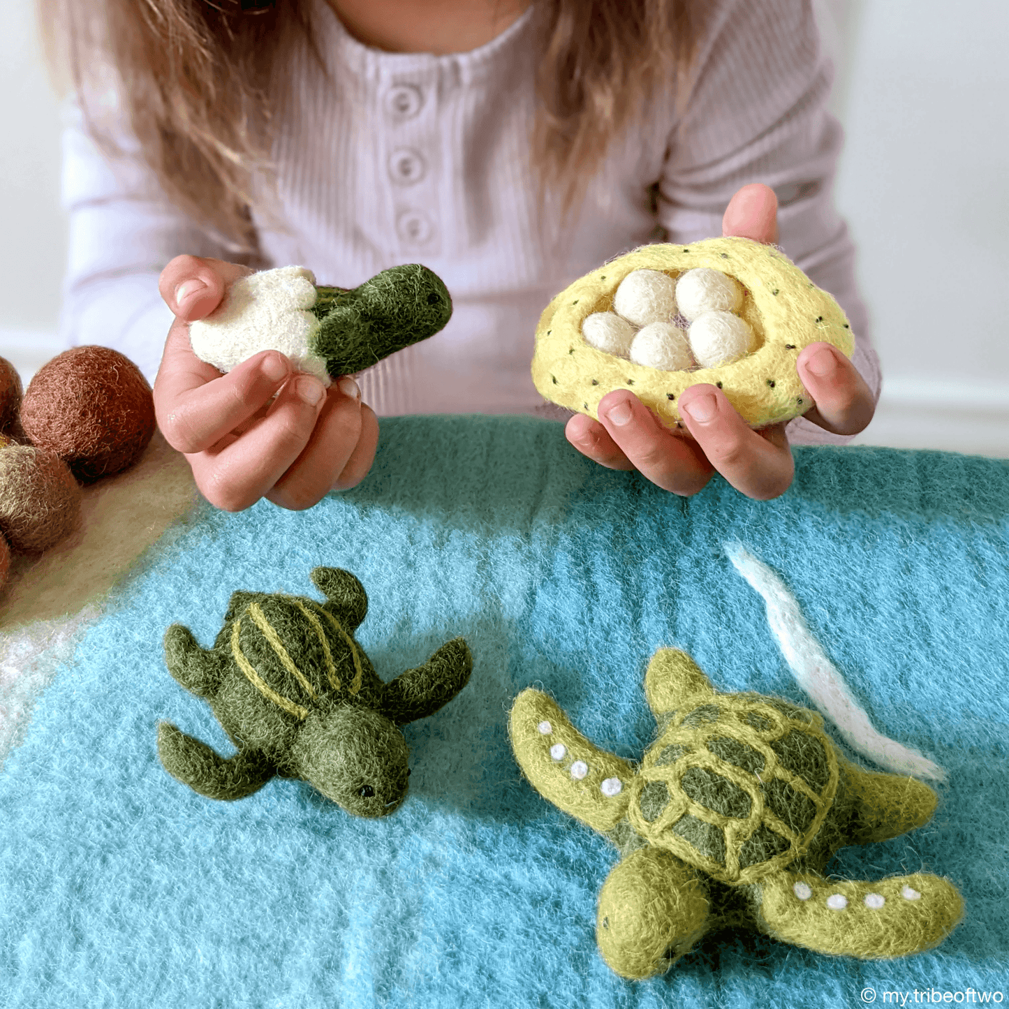 Tara Treasures Felt Life Cycle of Green Sea Turtle Set Pretend & Imaginative Play Toys Felt Animals 3yrs+