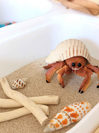 Hermit Crab Figurine by Safari Ltd Sea Life Collection Animal Figurines 3yrs+
