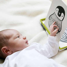 Wee Gallery Art Cards Black & White Collection Baby Toys Baby Gifts Idea 0m+