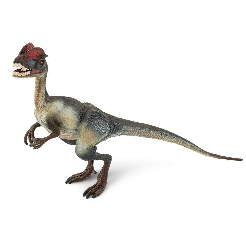 Dilophosaurus Figurine by Safari Ltd Large Dinosaur & Prehistoric World Collection Animal Figurines Dinosaur and Dragon Theme Clearance 3yrs+