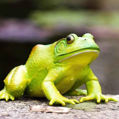 American Bullfrog Figurine by Safari Ltd Extra Large Woodland Collection Incredible Creatures Animal Figurines 3yrs+