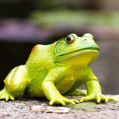 American Bullfrog Figurine by Safari Ltd Extra Large Woodland Collection Incredible Creatures Animal Figurines 3yrs+
