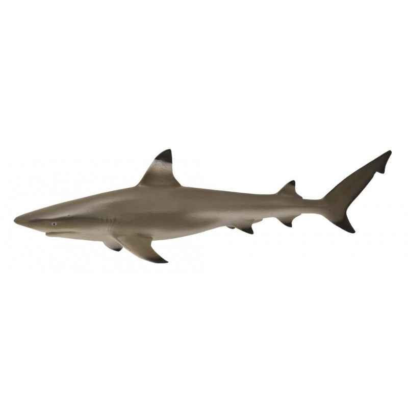 Blacktip Reef Shark Figurine by CollectA Medium Ocean Sea Life Collection Animal Figurines Clearance 3yrs+