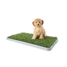 Pet Potty Mat