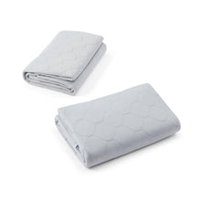 Puppy Pad Reusable 2 Pack