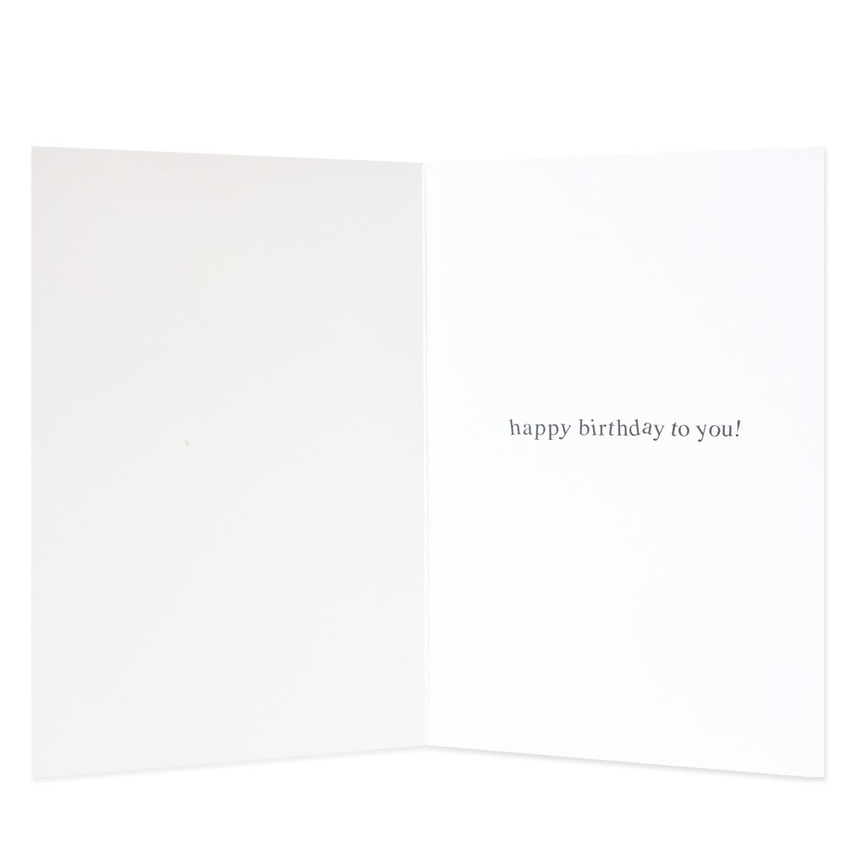 Creative Publishing from Hallmark Birthday Card - Crocodile