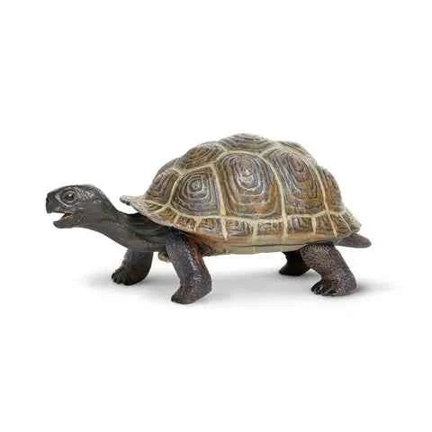 Tortoise Turtle Animal Figurines by Safari Ltd 3yrs+