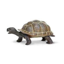 Tortoise Turtle Animal Figurines by Safari Ltd 3yrs+