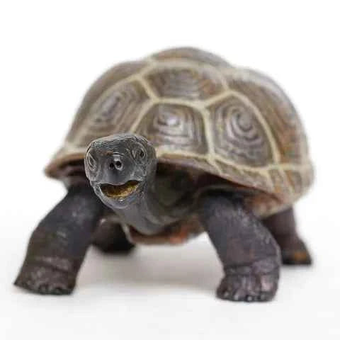 Tortoise Turtle Animal Figurines by Safari Ltd 3yrs+