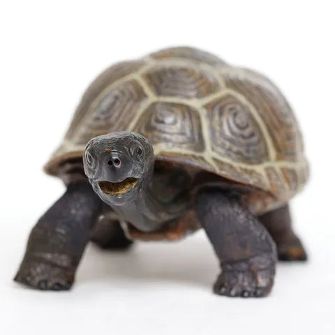 Tortoise Turtle Animal Figurines by Safari Ltd 3yrs+
