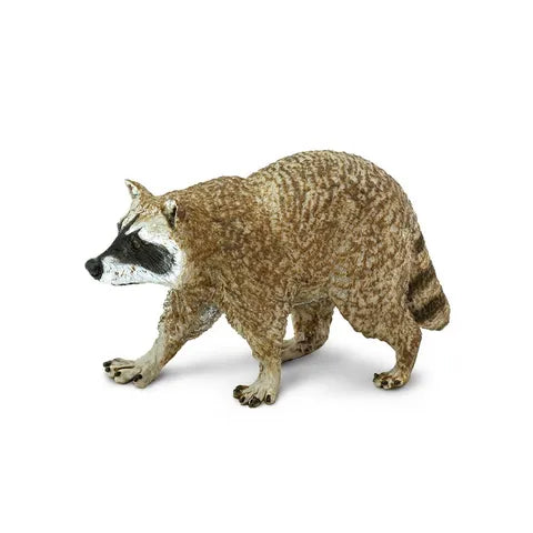 Raccoon Figurine by Safari Ltd Safari Collection Animal Figurines Clearance 3yrs+