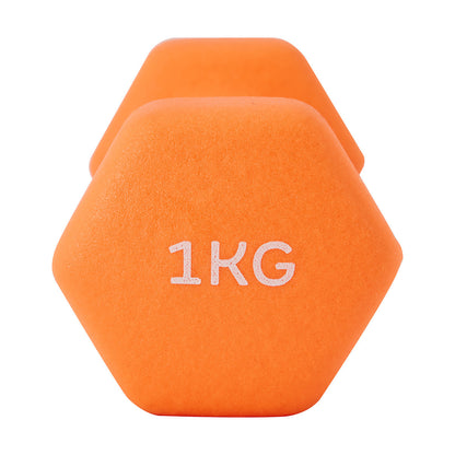 1kg Dumbbell