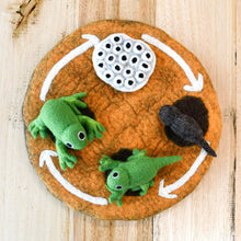 Tara Treasures Felt Life Cycle of a Frog 4pcs Felt Figures Only Pretend & Imaginative Play Toys Felt Animals Early Science 3yrs+