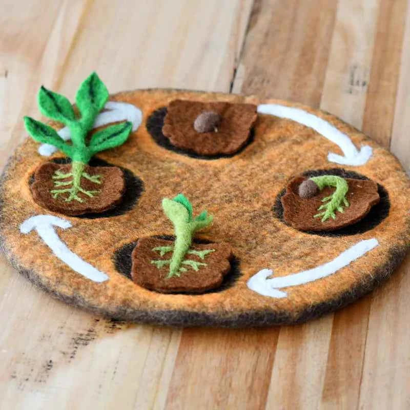 Tara Treasures Felt Lifecycle of Bean Plant Pretend & Imaginative Play Toys 3yrs+
