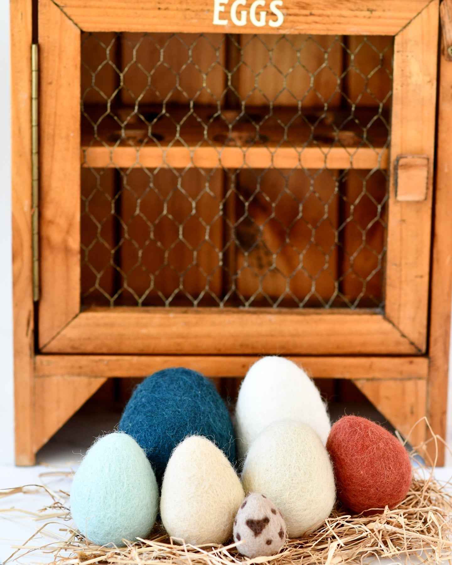 Tara Treasures Felt Eggs (7 Types of Poultry Eggs) Pretend & Imaginative Play Toys 3yrs+