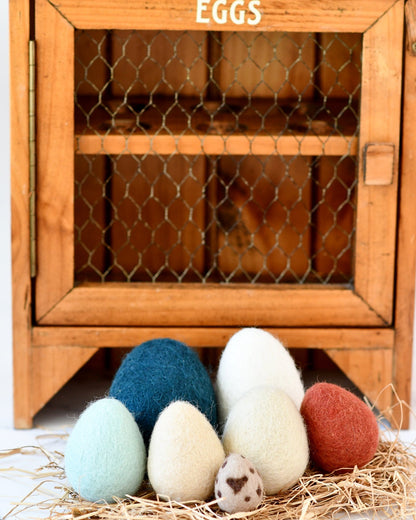 Tara Treasures Felt Eggs (7 Types of Poultry Eggs) Pretend & Imaginative Play Toys 3yrs+