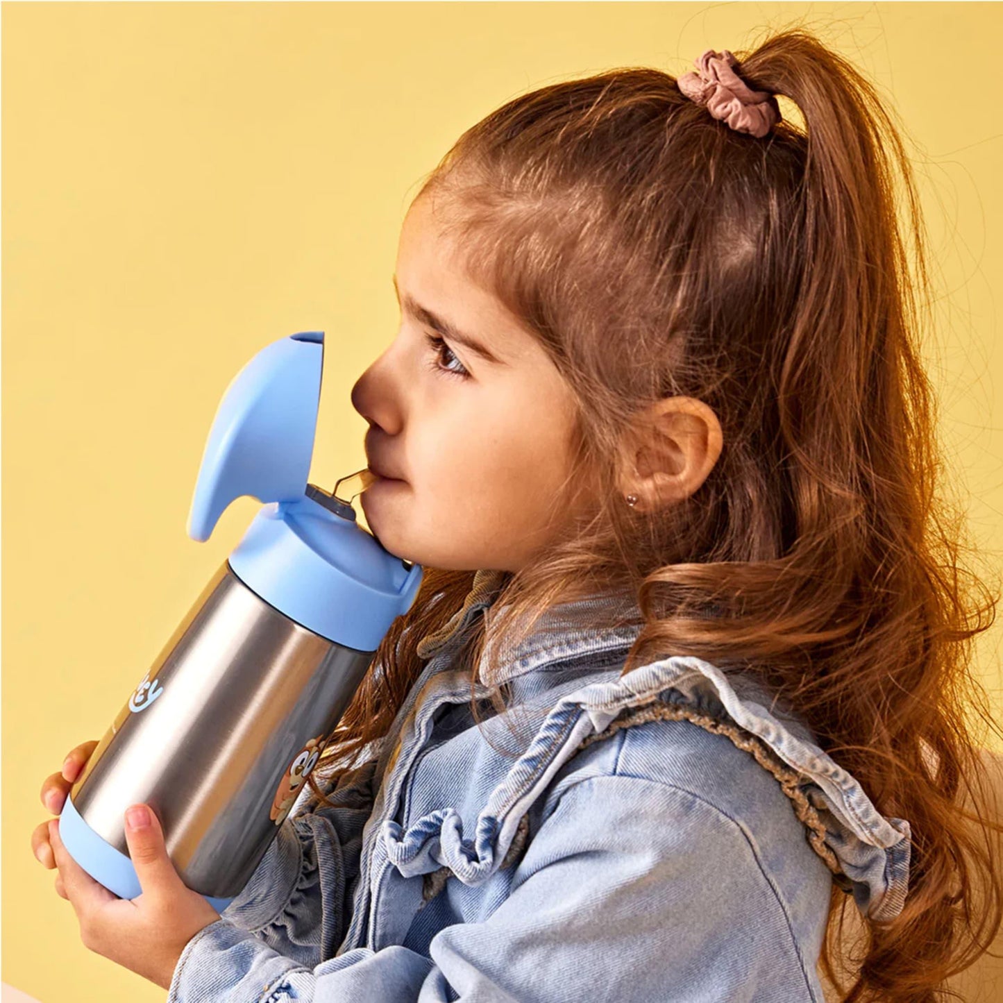 Bbox Bluey NEW Lunch box / Mini Lunchbox / Snackbox / Insulated Kids Drink Bottle Kids Lunch Box Best Seller 3yrs+