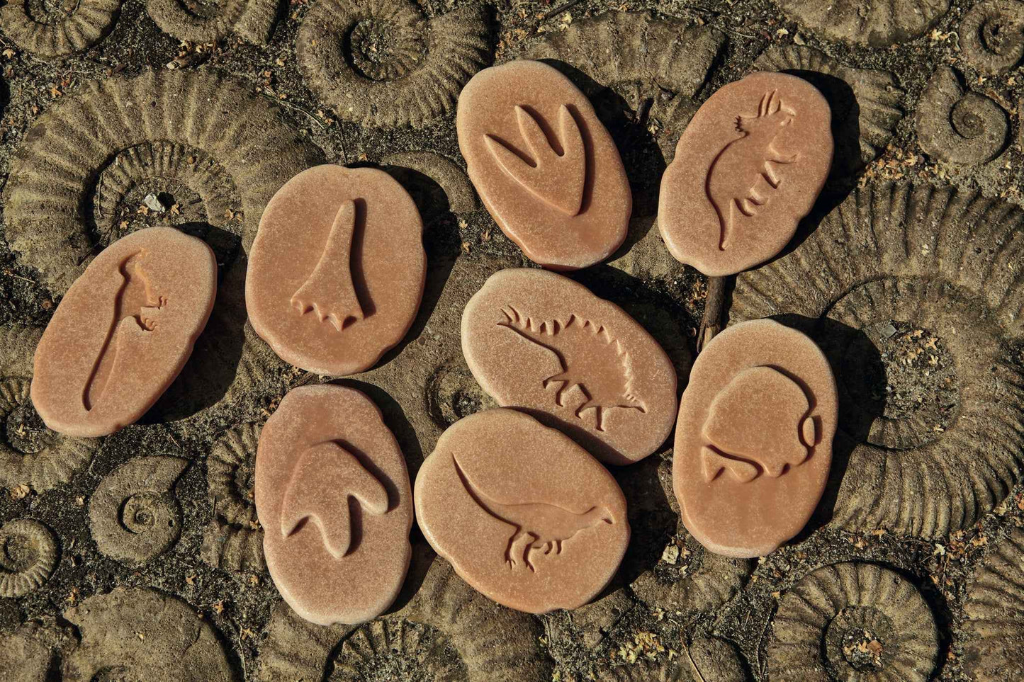 Yellow Door Let’s Investigate Dinosaur Footprints Set of 8 Sensory Stone Art and Craft for Kids Playdough Sand Toys Dinosaur Toy Sensory Toys Toddlers Dinosaur and Dragon Theme 3yrs+