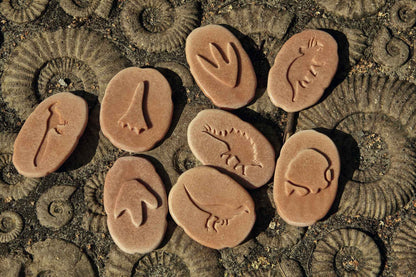 Yellow Door Let’s Investigate Dinosaur Footprints Set of 8 Sensory Stone Art and Craft for Kids Playdough Sand Toys Dinosaur Toy Sensory Toys Toddlers Dinosaur and Dragon Theme 3yrs+