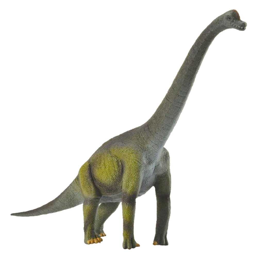 Brachiosaurus Figurine by CollectA Large Dinosaur & Prehistoric World Collection Animal Figurines Dinosaur and Dragon Theme 3yrs+
