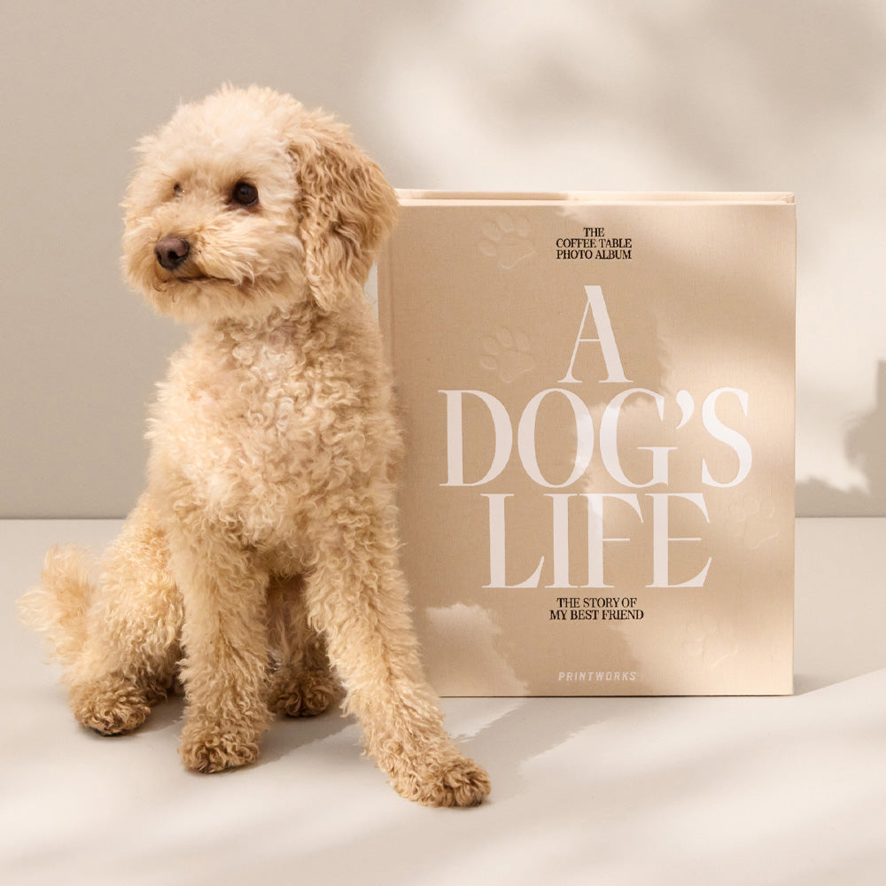 Printworks Dog Album-A Dogs Life