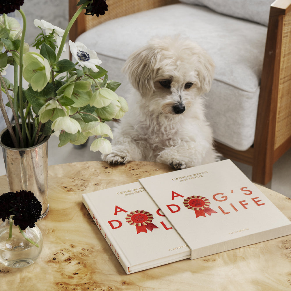 Printworks A Dog's Life - Dog Journal